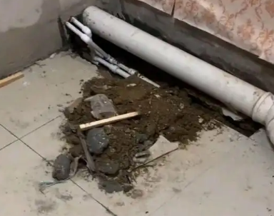 万秀卫生间漏水检测哪家好